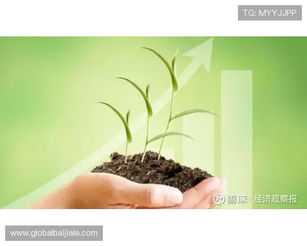 掌握PA视讯倍投安全策略，避免投注风险提升资金保障