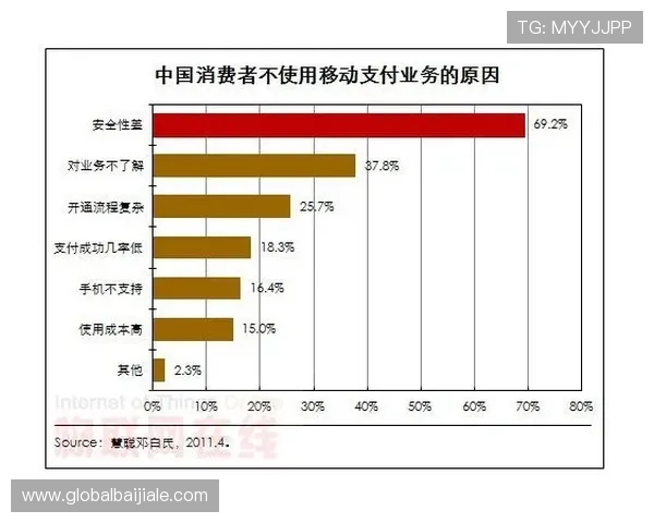 K8真人官方平台的支付方式多样化及其安全性分析