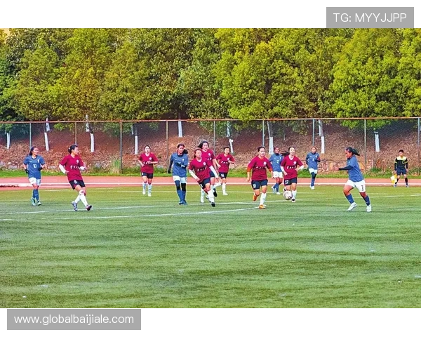 开云真人体育娱乐助力玩家实现全方位的体育竞技娱乐与专业赛事分析